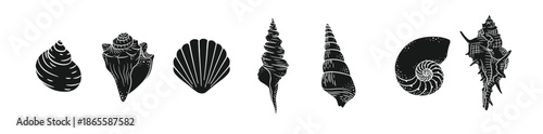 Seashell silhouette vector illustration set. Aquatic marine graphics for menu, seafood restaurant design, resort hotel spa, surf boards, wall art print