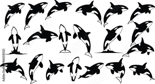 Collection of killer whale silhouettes, orca whale jumping icons, marine life vector set, ocean wildlife graphics, aquatic animal stencils, and nature illustrations.