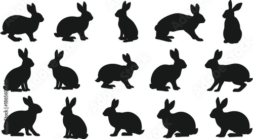 Vector silhouettes set of black rabbit, cat, dog, bird, bear, and other funny animal shapes illustration design