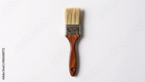 A wide, flat paintbrush featuring a polished dark wooden handle and light natural bristles rests vertically on a clean white background, casting a soft shadow to the side.