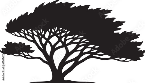 Black silhouette of a sprawling tree with intricate branches and a full canopy white nature