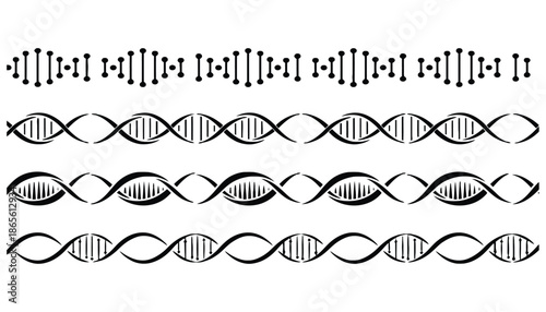 A vector set of DNA double helix structures in black and white