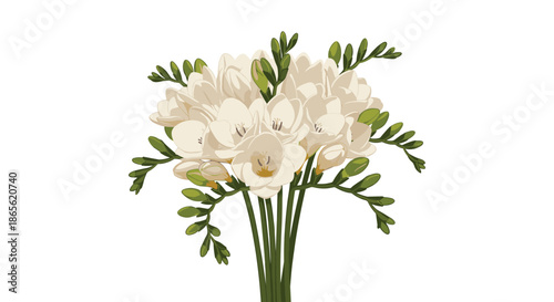Elegant and delicate bouquet of fresh white freesia flowers with green stems and buds, isolated on a clean white background.