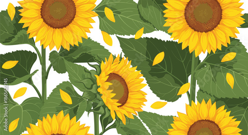 Beautiful summer floral background with large, vibrant yellow sunflowers, green leaves, and delicate falling petals on a white backdrop.
