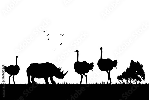 African Wildlife Silhouette Animals Walking in Grassland