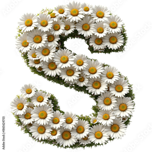 Top view of 3D letter S made of daisy flowers isolated on white background