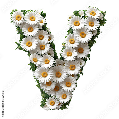 Top view of 3D letter V made of daisy flowers isolated on white background