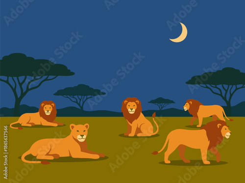 Lions in the savannah.