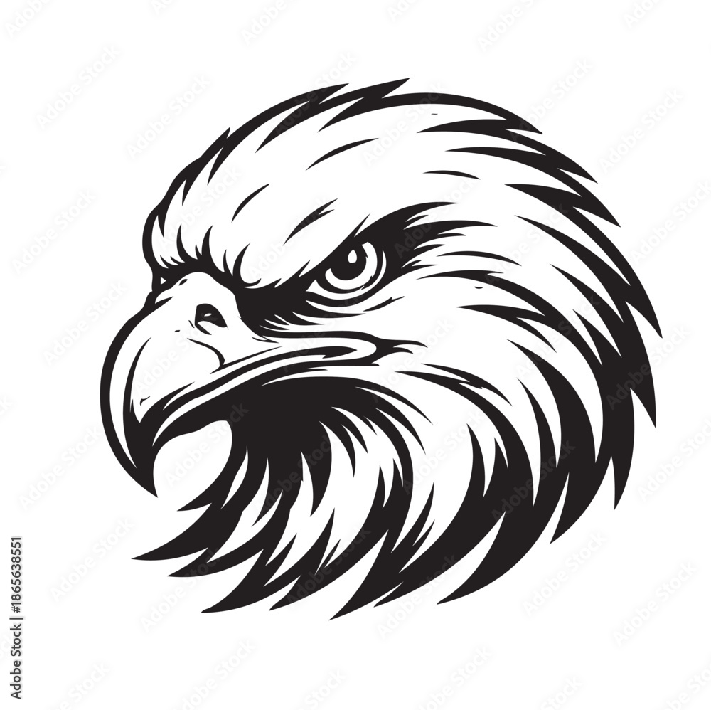 Fototapeta premium hawk head