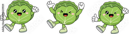 Three cute cartoon cabbage characters, smiling, giving a thumbs up, happy vegetable mascot, green food, healthy eating, flat vector illustration, isolated, white background.