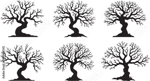 six black silhouettes of bare trees with unique twisted trunks and branch structures on a plain white background high quality professional