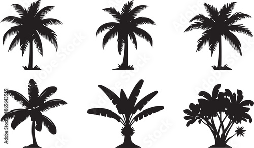 six black silhouettes of different palm trees on a white background for design and decoration purposes easily high quality professional detailed