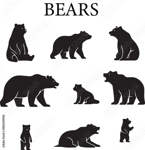 Vector set of wild animal silhouettes featuring a mammal illustration of a grizzly bear symbol for nature and zoo designs