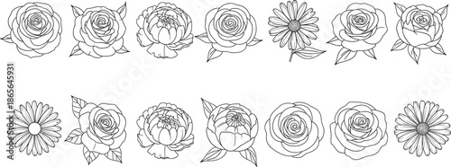 Floral Line Art Icons Set with Roses and Flowers Botanical Outline Vector Illustration
