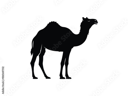 Black camel silhouette, a large desert mammal with a hump