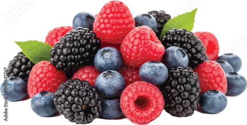 Fresh organic mixed berries including ripe raspberries blackberries and blueberries with green leaves isolated on a white background