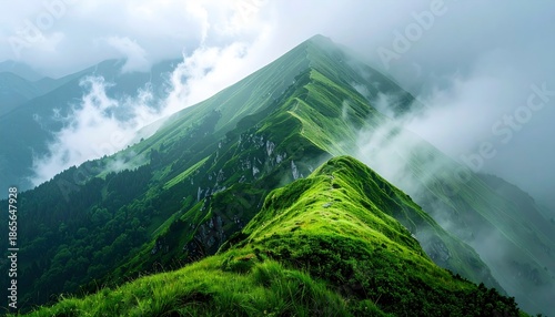 Green Mountain Ridge Covered in Fog, Dramatic Nature Landscape