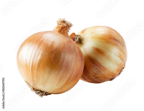 Wallpaper Mural Two golden onions with papery skin, against black Torontodigital.ca