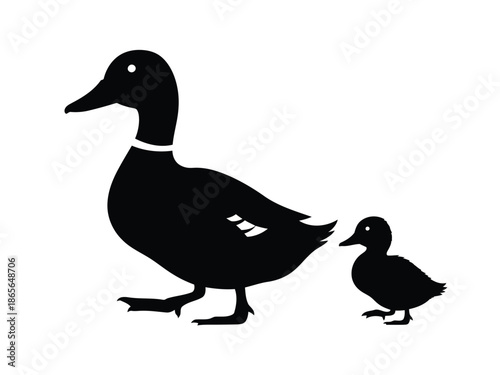 Black duck and duckling silhouette walking together