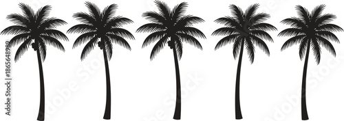 Palm tree silhouette, tropical design, abstract nature, graphic illustration, summer vibe, exotic landscape, beach decor, vector art, black blue outline