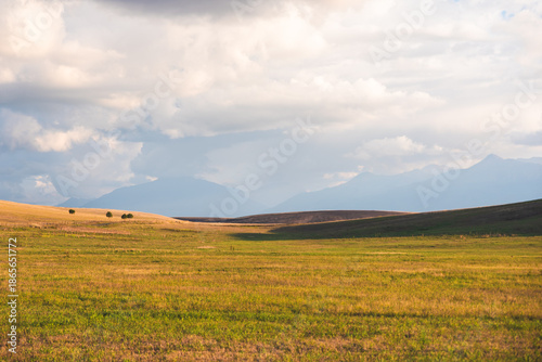 Green Summer Pasture With Storm
