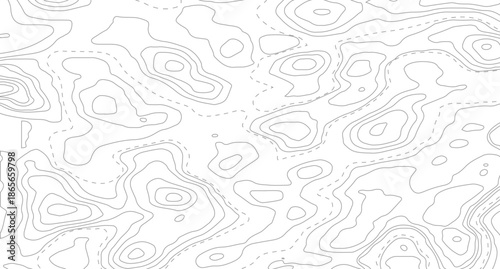 Topography background. Vector banner. Topography map background. Vector geographic contour map. Background of the topographic map.