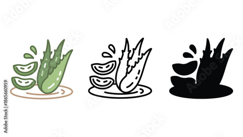 Fresh aloe vera plant with sliced pieces and water splashes, symbolizing natural skincare and wellness