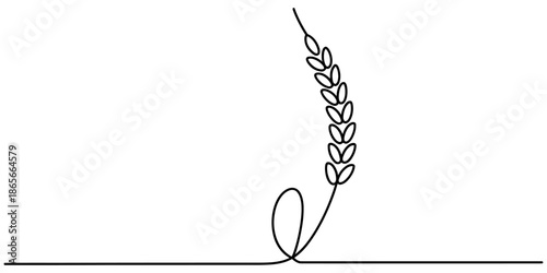 A continuous line drawing representing a wheat ear, symbolizing harvest and nature Vector, illustration