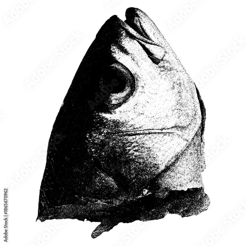 Head Fish Vector Hand drawn Style