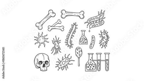 Bones, Bacteria, Flasks, and a Skull A Collection of Scientific and Macabre Illustrations