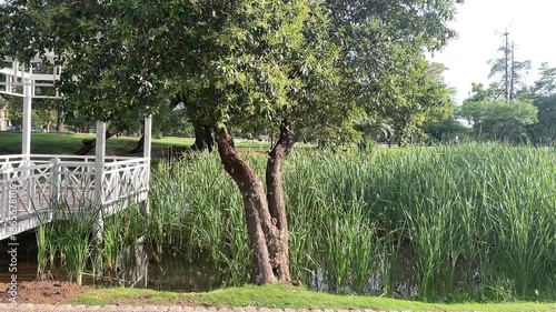 cordoba park travel amateur shot