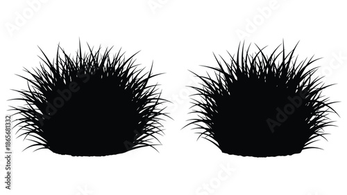 silhouette of two furry or hairy objects on white background