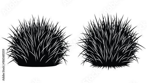 Two black silhouette grass tufts on a white background
