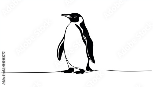 Black and white penguin standing on ice bird animal wildlife on white background 