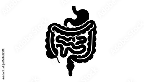 A medical illustration of the human digestive system in silhouette mode