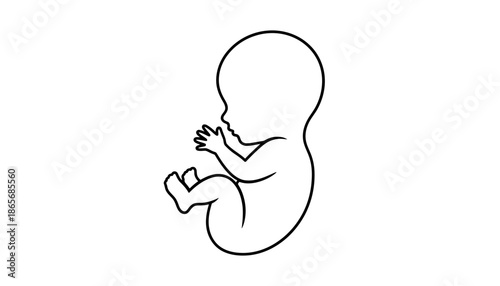 A simple line drawing of a fetus in silhouette against a white background