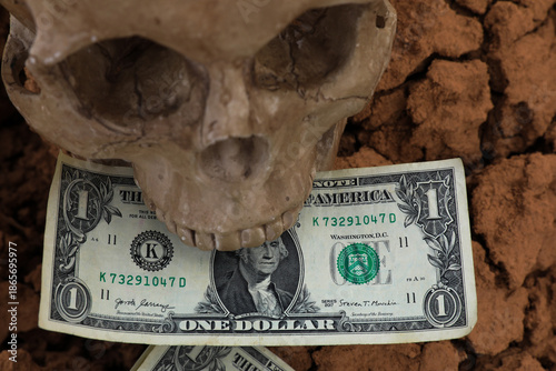 Valokuva A miniature of a human skull with dollar bills lies in the middle of cracked desert soil due to critical climate change on the planet