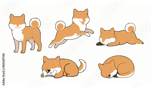 Shiba Inu cartoon dog poses vector set cute Japanese pet illustration
