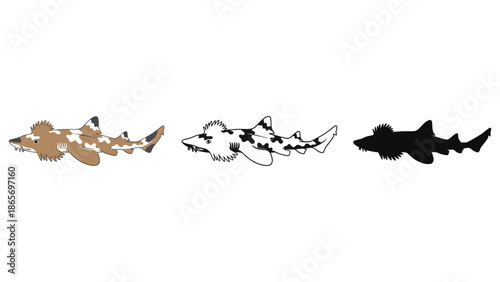 Three different illustrations of a horn shark on a white background.