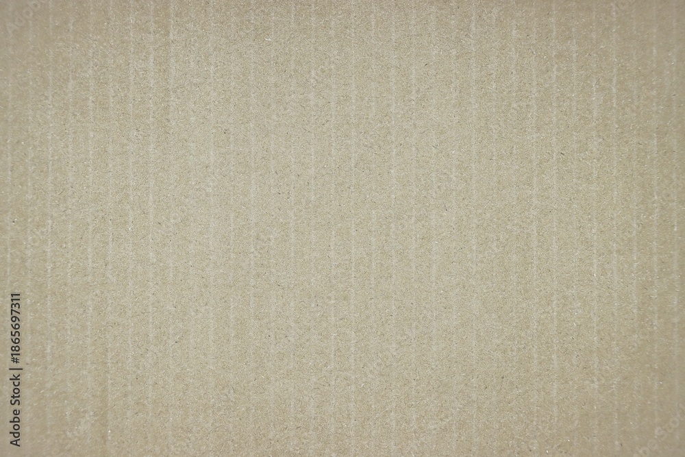 Fototapeta premium Corrugated cardboard carton box pattern background