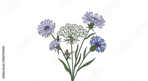 Beautiful bouquet of hand-drawn wildflowers including blue cornflowers and delicate white blossoms for vintage floral decorations.