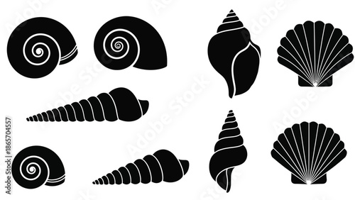 illustration of various seashells including spiral shells conch shells and scallop shells in black style for marine Silhouette vector on whit Background
