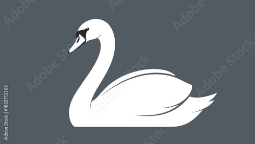 Elegant White Swan Illustration Graceful Bird with Curved Neck.