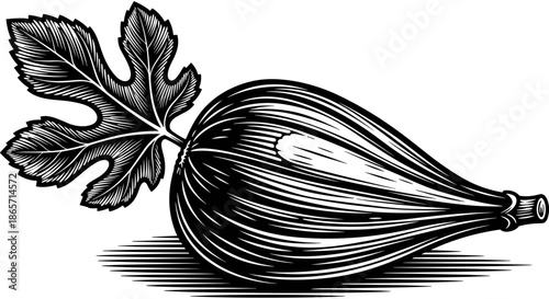Detailed black and white vintage engraving style illustration of a fresh fig fruit with a lobed leaf on white background