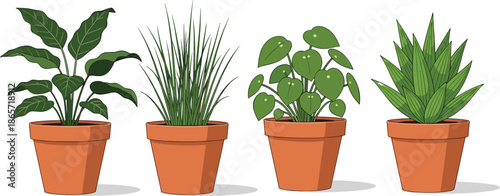 Set of four green indoor house plants in terracotta pots including pilea and succulent, flat vector illustration for interior design and home gardening,