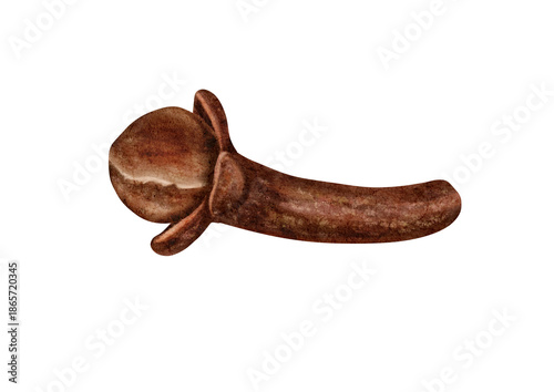 Illustration of a single dried clove