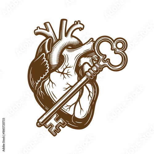 Vintage Brown anatomical heart with a large oldfashioned key inserted through it isolated on white background