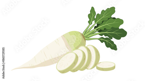 Large fresh daikon radish with vibrant green leaves, shown whole and in clean circular slices on a white background.