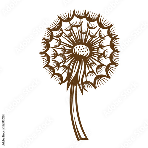 Vintage Brown dandelion flower illustration with seeds blowing away isolated on white background