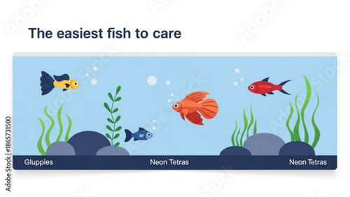 Colorful illustration of easy to care fish including gluppies, neon tetras, and goldfish in aquarium with plants and rocks with pet